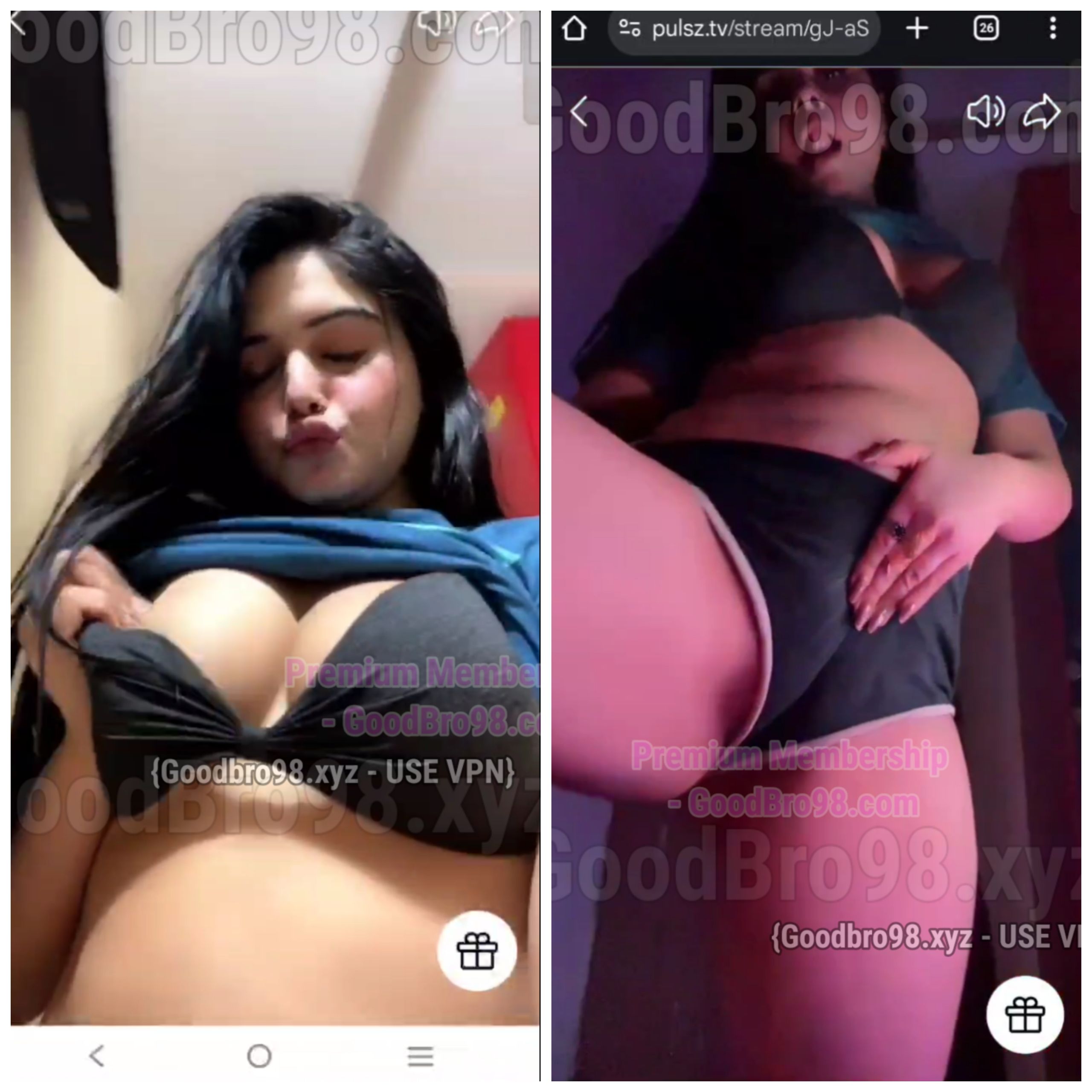 Pakistani Billi Tango Premium PAKISTANI MODEL